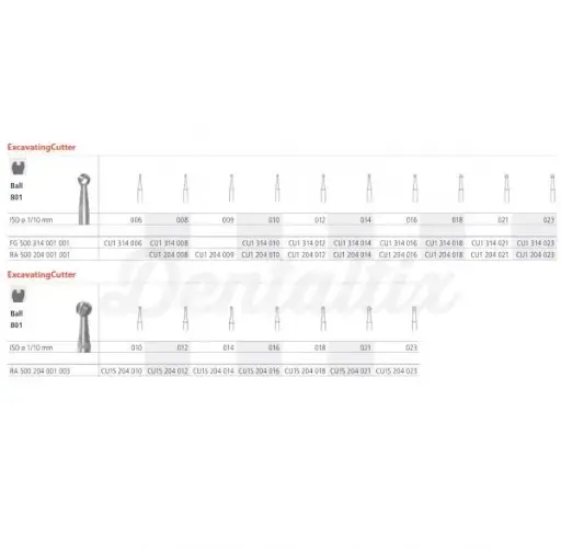 [IT24415] Fresa dental RCU80021/6