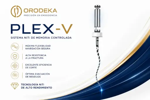 [DR90022180004] Cepillo de limpieza 2200/12